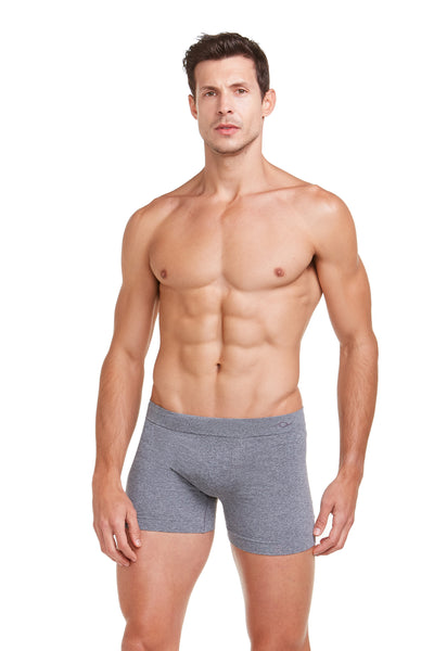 Cueca Boxer Microfibra Sem Costura Mescla Cinza